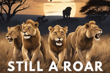 Still A Roar