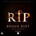 Bongo Riot - RIP