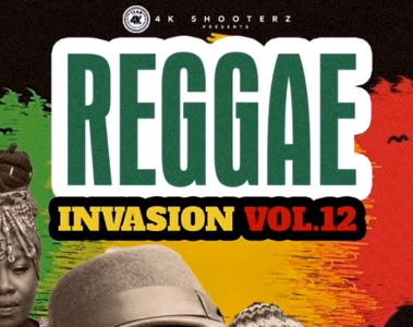 DJ Manni Reggae Invasion Vol 12