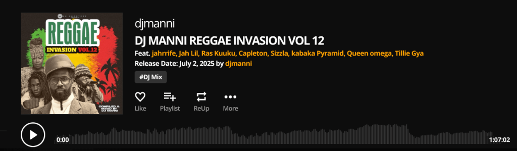 Reggae Invasion Vol 12