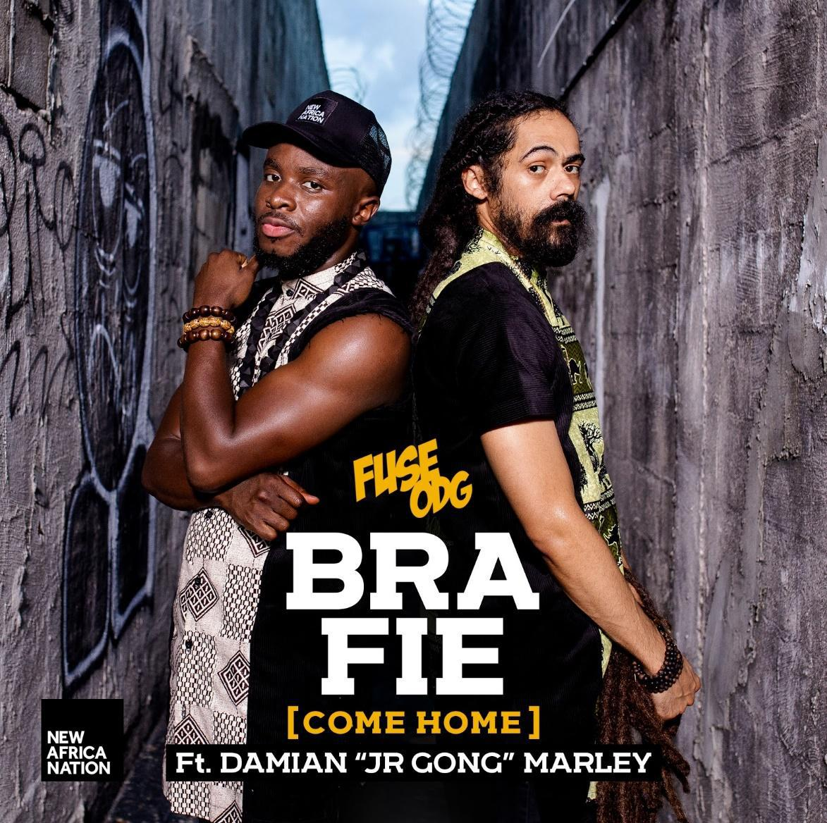 Fuse Dog Damian Marley Bra Fie