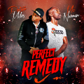 MC Norman and Peter Miles - Perfect Remedy