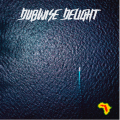 Dubwise Delight