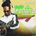 Naf-Ital Sponono