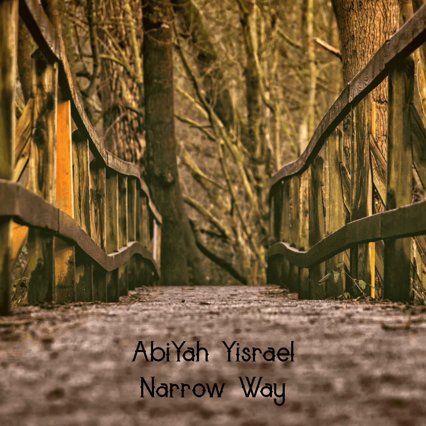 Abiyah Yisrael - Narrow Way