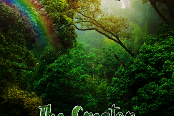Samuel Sah - The Creator