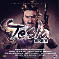 Telsa Riddim