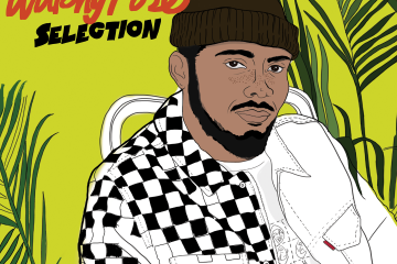 Walshy Fire Riddimentary Selection